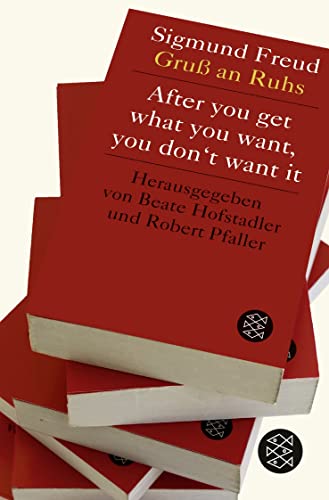 After you get what you want, you don't want it: Wunscherfüllung, Begehren und Genießen von FISCHERVERLAGE